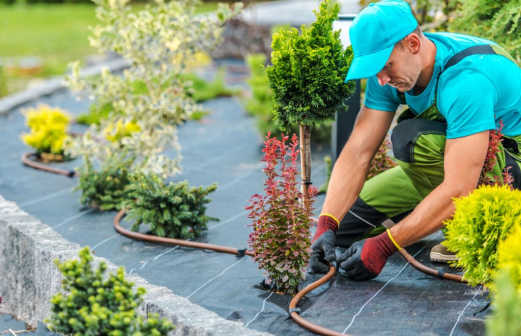Irrigation & Drainage